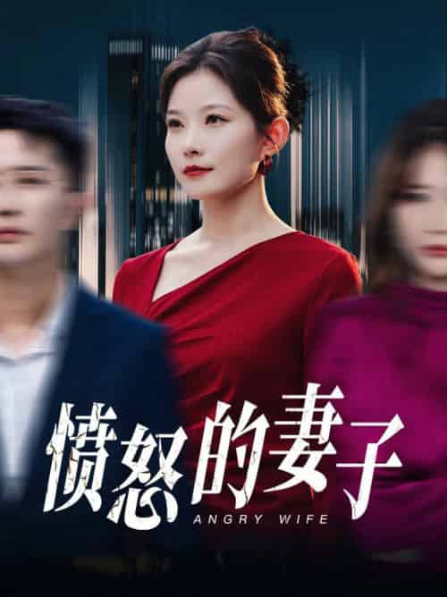 愤怒的妻子（30集全）李永鑫＆刘灿 - 海之城短剧
