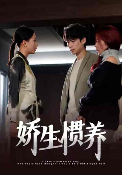 娇生惯养（15集） - 海之城短剧