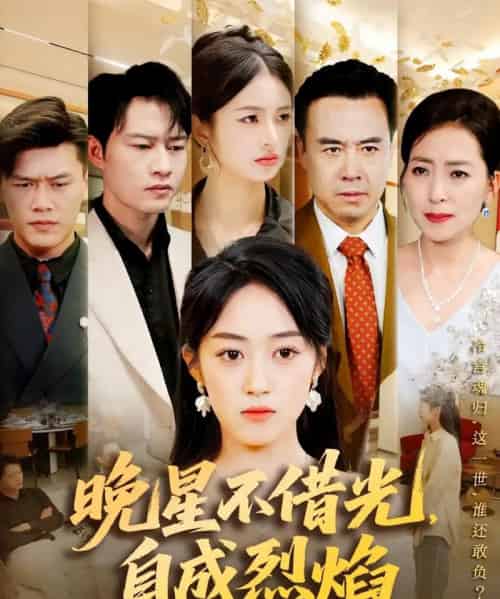 晚星不借光自成烈焰（65集）黄谋＆薛琪慧-海之城短剧项目