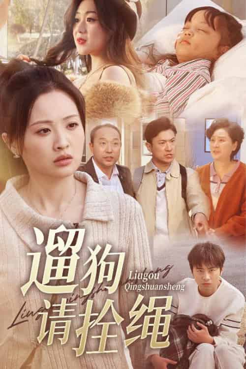 遛狗请拴绳＆脱缰现世报（31集全）龙沿汐 - 海之城短剧