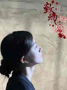 致幻婚姻（100集） - 海之城短剧