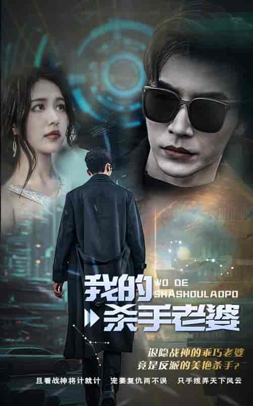 我的杀手老婆 我的杀手老婆