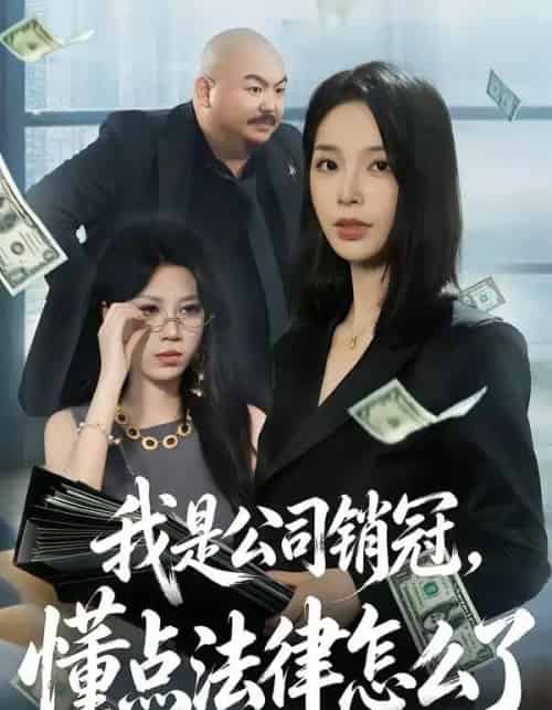 我是公司销冠，懂点法律怎么了（66集全）龙梓妍＆诸葛迪迪-海之城短剧项目