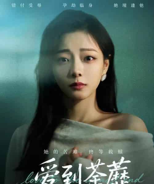 爱到荼蘼（63集全）彭静＆张振东-海之城短剧项目