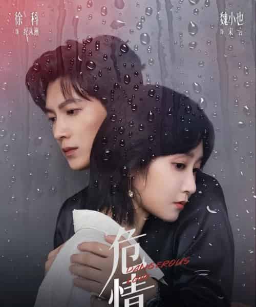 危情（65集全）徐科＆魏小也-海之城短剧项目