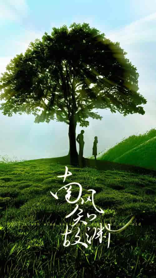 南风知故渊（80集） - 海之城短剧