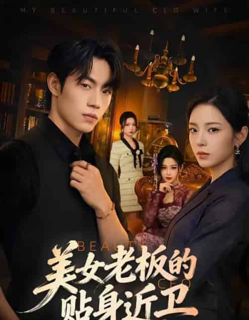 美女老板的贴身近卫（60集全）敖日格乐＆邱卓雅-海之城短剧项目