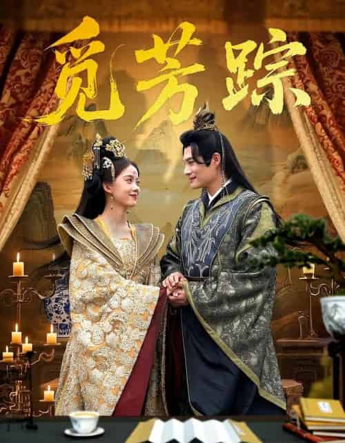 觅芳踪（91集）黄骞＆唐敬-海之城短剧项目