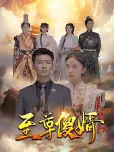 至尊傻婿（82集） - 海之城短剧