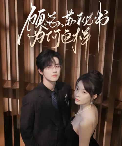 顾总，苏秘书为何这样（67集全）苏和＆李芮峤-海之城短剧项目