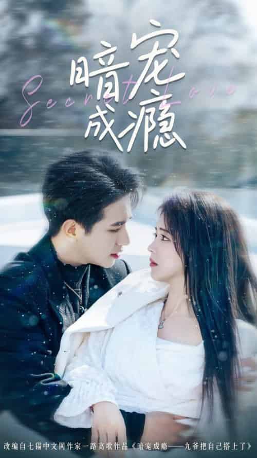 暗宠成瘾（56集全）王浩翔＆蔡淼燕 - 海之城短剧
