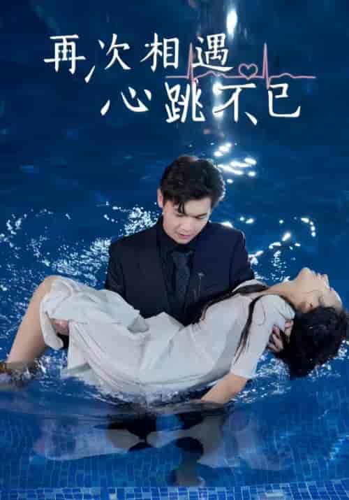 再次相遇心跳不已（99集） - 海之城短剧