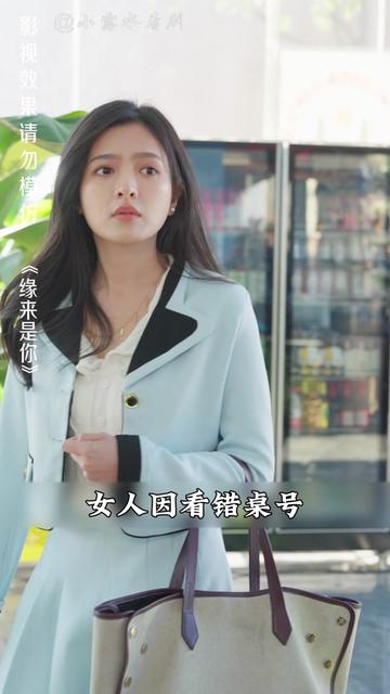 影后的记忆碎片（原来是你）（86集） - 海之城短剧