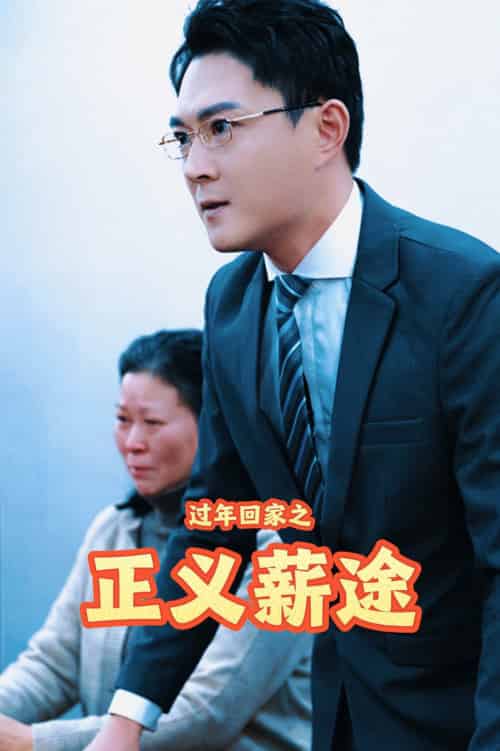 过年回家之正义薪途（40集全） - 海之城短剧