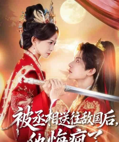 被丞相送往敌国后，他悔疯了（60集全）王琳惠＆林飞羽-海之城短剧项目
