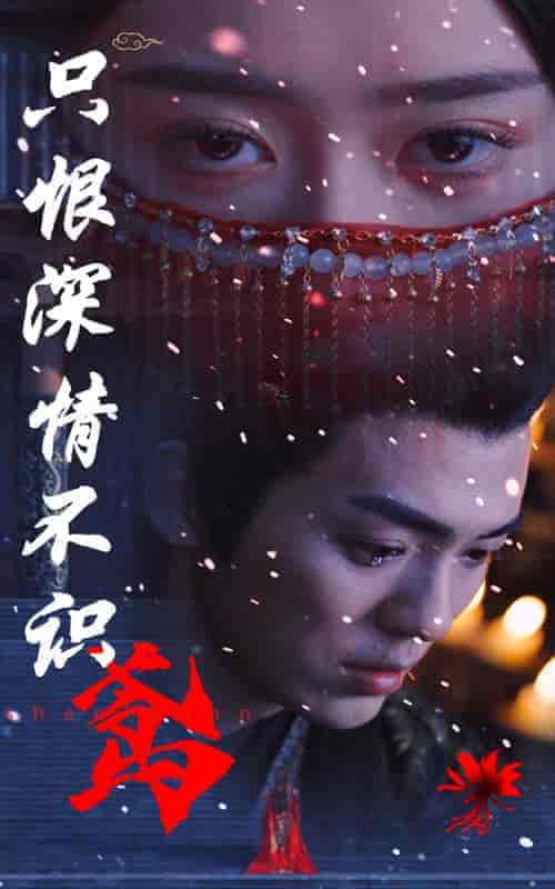 只恨深情不识鸢（83集） - 海之城短剧