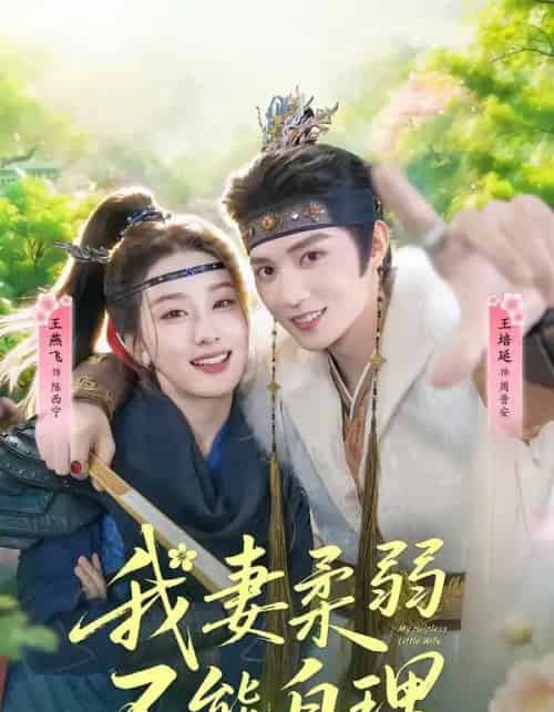 我妻柔弱不能自理（72集全）王培廷＆王燕飞-海之城短剧项目