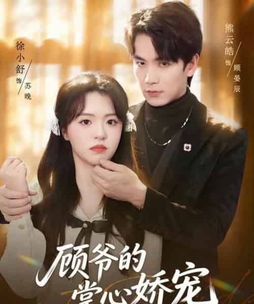 顾爷的掌心娇宠（60集全）熊云皓＆徐小舒-海之城短剧项目
