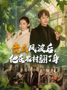 卖瓜风波后，他在农村翻了身（100集） - 海之城短剧