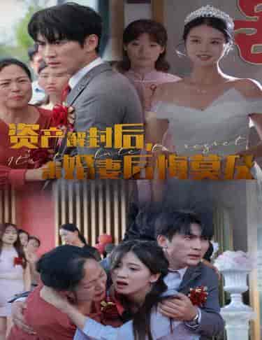 资产解封后，未婚妻后悔莫及＆新版：破茧（60集全） - 海之城短剧