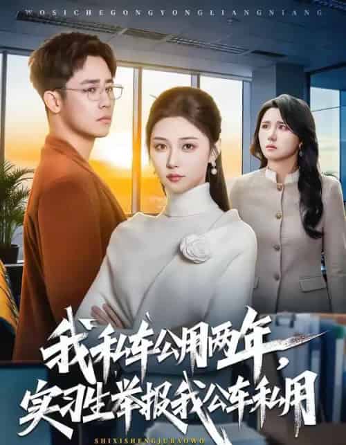 我私车公用两年，实习生举报我公车私用（63集全）程雅昭＆车婷婷-海之城短剧项目