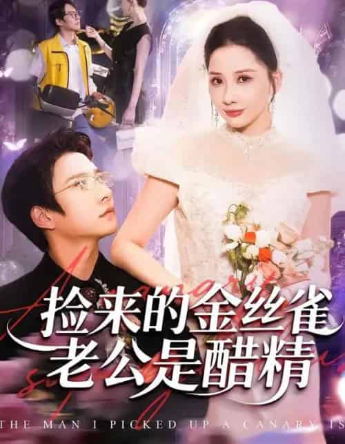 捡来的金丝雀老公是醋精（129集全）白羽＆郭明雪-海之城短剧项目