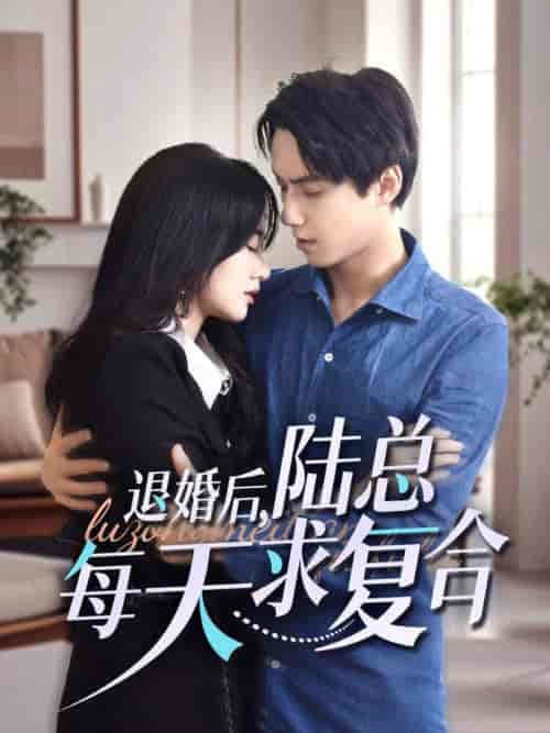 退婚后陆总每天求复合（71集全）陈政阳＆苟钰浠 - 海之城短剧