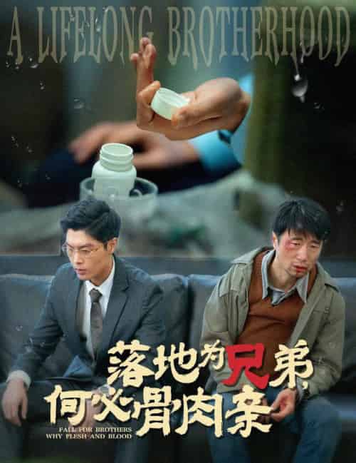 落地为兄弟，何必骨肉亲（60集全） - 海之城短剧