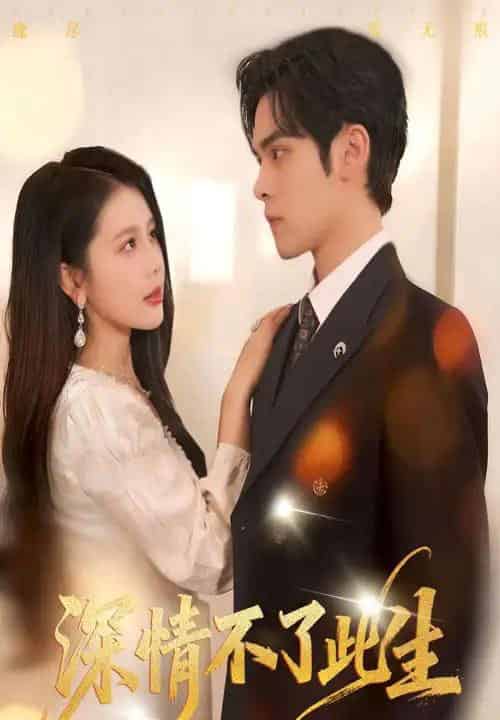 深情不了此生 （60集全）丁海霞＆陆天玮-海之城短剧项目