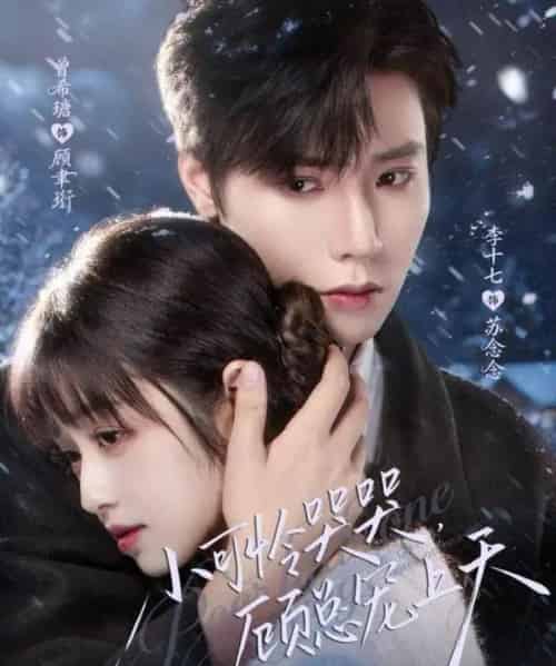 小可怜哭哭，顾总宠上天＆小可怜揣崽顾总宠上天（77集全）曾希瑭＆李十七-海之城短剧项目