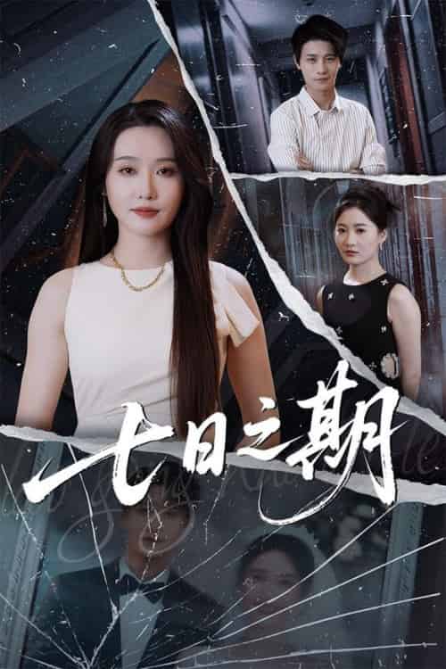 七日之期（90集全）刘雪莹＆刘方为 - 海之城短剧