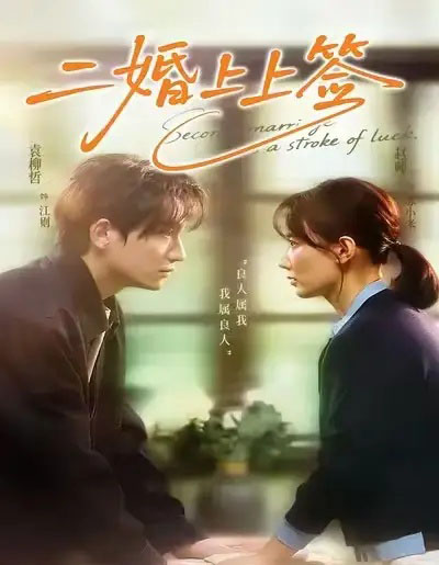 二婚上上签（71集全）袁柳哲＆赵帅-海之城短剧项目