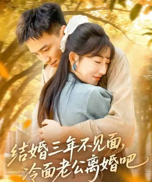 结婚三年不见面，冷面老公离婚吧（67集全）刘乂宇＆孙丛珊-海之城短剧项目
