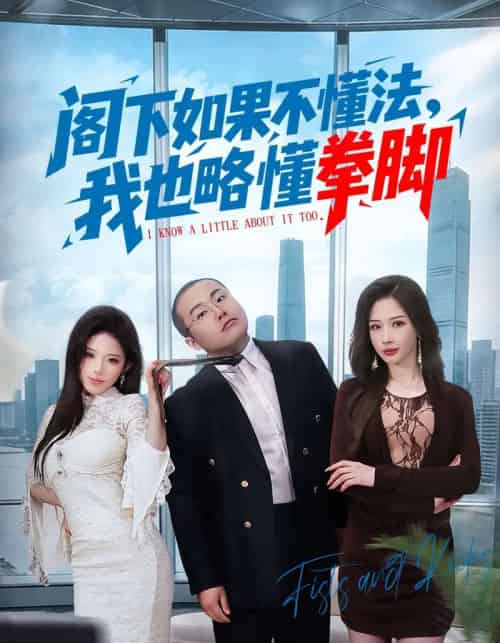 阁下如果不懂法，我也略懂拳脚（77集全）魏华＆徐诗颖-海之城短剧项目