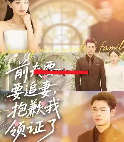 前夫要追妻，抱歉我领证了（81集全）柏欢洲＆刘煜烨-海之城短剧项目