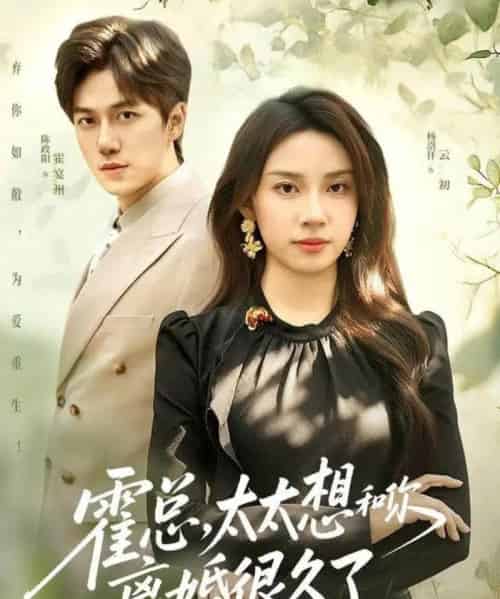 霍总，太太想和你离婚很久了（80集全）陈政阳＆杨洛仟-海之城短剧项目