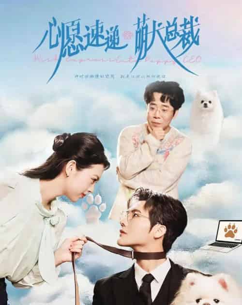 心愿速递之萌犬总裁（50集全）蓝曦鹿＆蒋辰瑞-海之城短剧项目