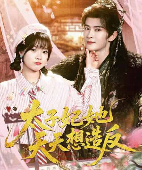 太子妃她天天想造反（89集全）陈冠峄＆杨帆-海之城短剧项目