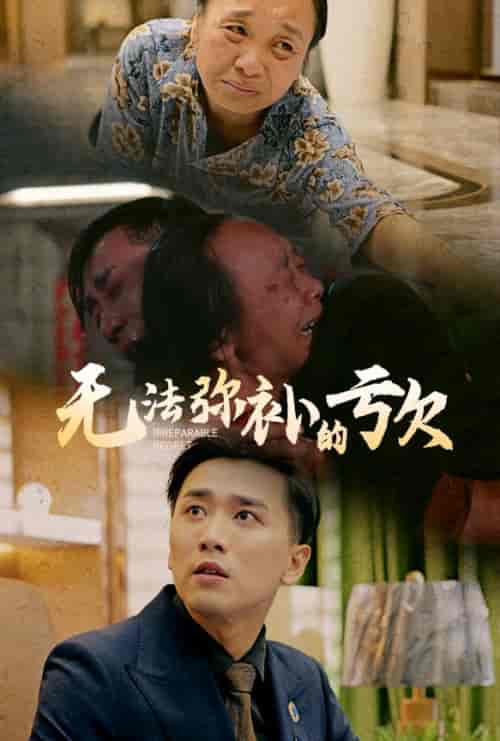 无法弥补的亏欠（59集全）陈思琦 - 海之城短剧