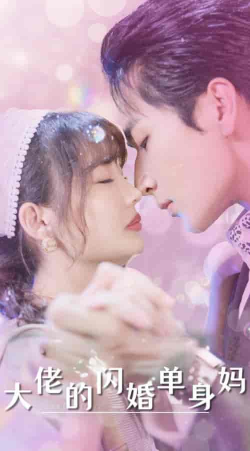 大佬的闪婚单身妈（80集全） - 海之城短剧