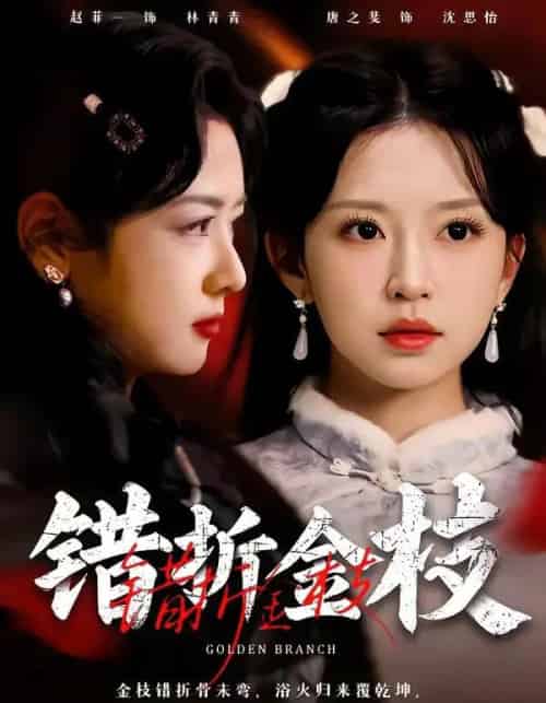 错折金枝（46集全）金泽元＆唐之斐-海之城短剧项目