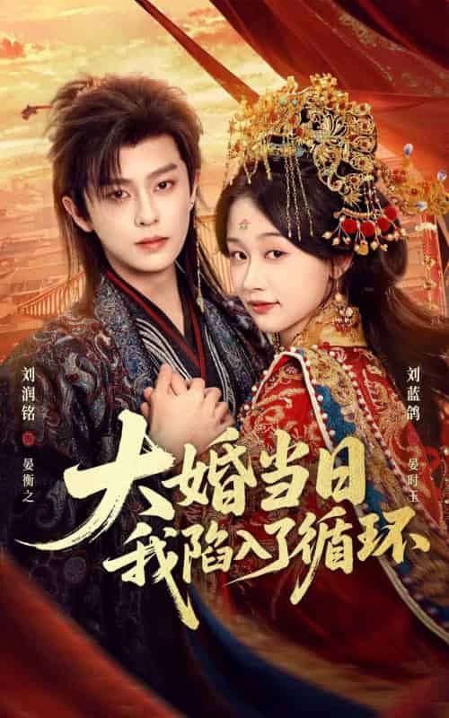 大婚当日，我陷入了循环（67集全）刘润铭＆刘蓝鸽-海之城短剧项目
