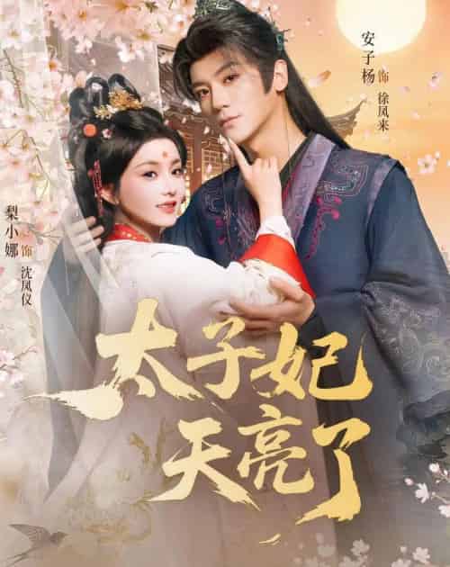 太子妃天亮了（80集全）安子杨＆梨小娜-海之城短剧项目