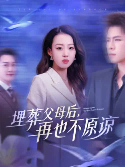 埋葬父母后再也不原谅（82集全）杨彦光＆赵英男 - 海之城短剧