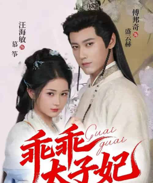 乖乖太子妃（64集全）傅邦奇＆汪海敏-海之城短剧项目