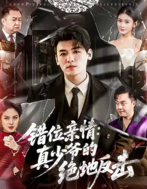 错位亲情：真少爷的绝地反击（70集全）李源＆陈嘉诺-海之城短剧项目