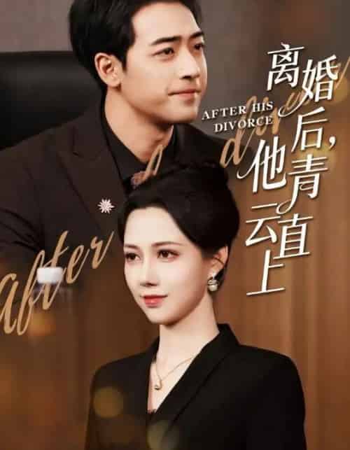 离婚后，他青云直上（50集全）王静＆肖琪峰-海之城短剧项目