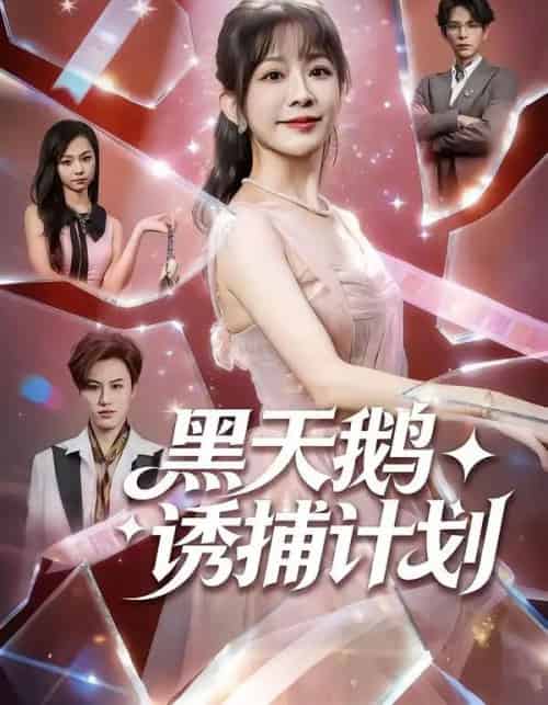 黑天鹅诱捕计划（81集全）林筱艾＆祁木-海之城短剧项目