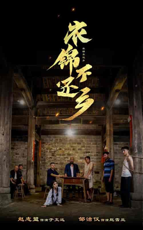 衣锦不还乡（69集） - 海之城短剧