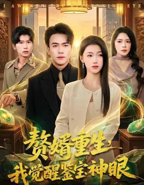 赘婿重生，我觉醒鉴宝神眼（80集全）王熠星＆安玥-海之城短剧项目